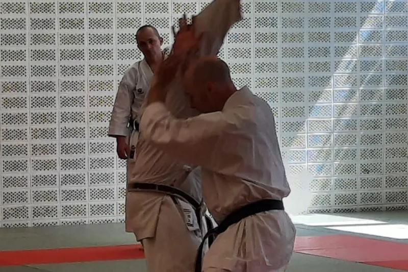karate-bushido-buehl-ev